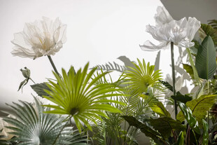 清新绿植花卉组合景观