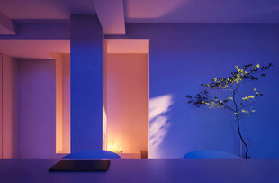 静谧室内的光影与绿植