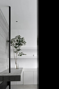 简约室内一角的绿植景致