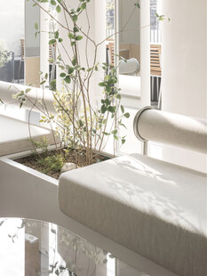 室内绿植景观清新角落