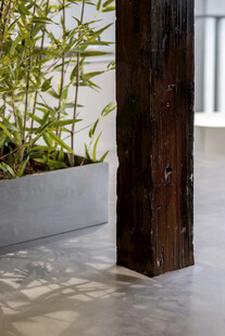 木质立柱旁的绿植景观