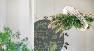 绿植装饰的黑板布置