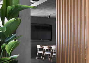 现代金属隔断与室内绿植