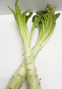 莴笋