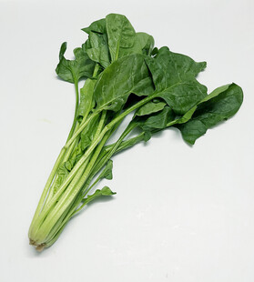 菠菜