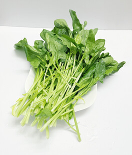 菠菜