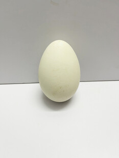 鸭蛋