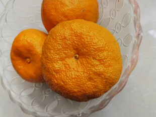 玻璃盘中的新鲜橘子