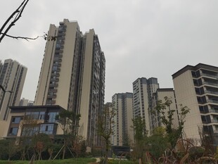 城市高层住宅区景观