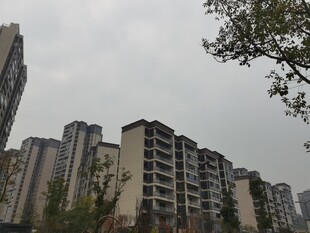 城市住宅区高楼景观