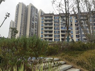 现代小区周边绿植景观