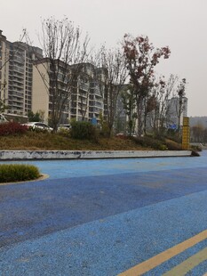 小区旁的蓝色路面景观
