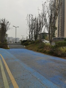 城市中蓝黄相间的道路景观