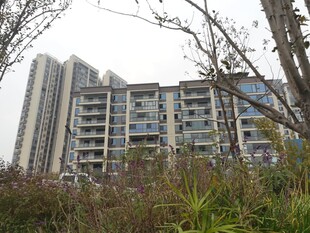 城郊待开发的高层住宅区