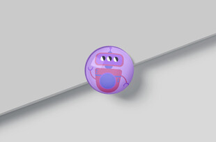 冰箱贴效果图样机图片