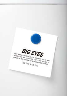 冰箱贴效果图样机图片