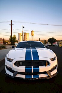 夕阳下的白色条纹野马跑车