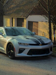 银色跑车停于屋前