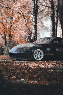 秋日林间的炫酷黑色轿车