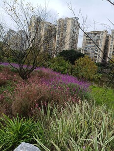 城市中多彩繁茂的花草景观