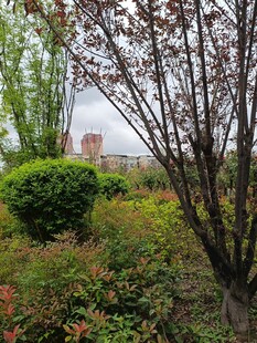 春日园林绿植景观