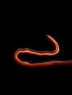 橙色光绘曲线