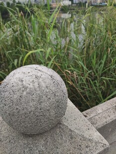 石球置于绿植环绕的角落