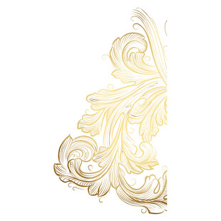 金色华丽花纹装饰图案