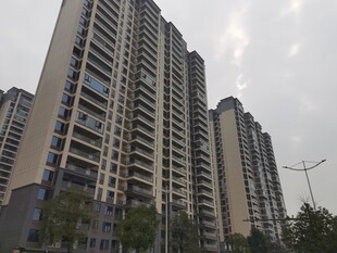 高层住宅楼景观