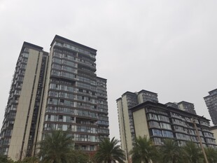 城市高层住宅楼景观