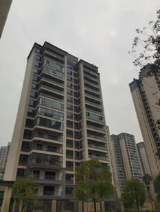 高层住宅楼外观景致