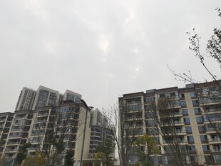 高层住宅楼景观