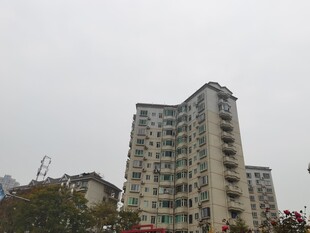 高层住宅楼外观景象