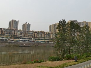河畔城市景观