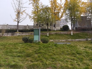 秋日草地旁的户外景致