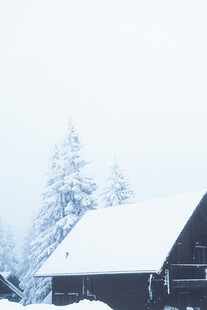 雪覆木屋与树木的冬日景象
