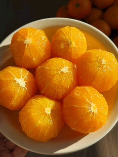 盘中鲜橙