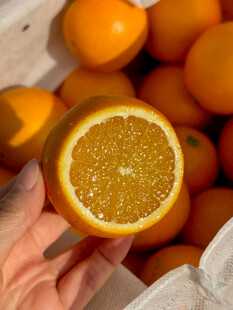 手捧切开的新鲜橙子