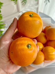 手捧新鲜金桔