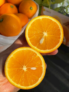 新鲜橙子被掰开展示果肉