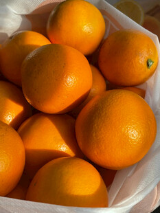 满满一袋新鲜橙子
