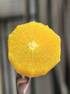 手持的新鲜切片橙子