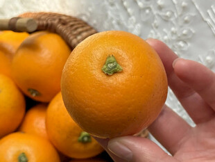 手捧新鲜金桔