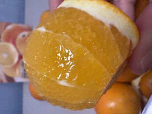 剥开的多汁橙子果肉