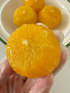 手捧多汁新鲜橙子