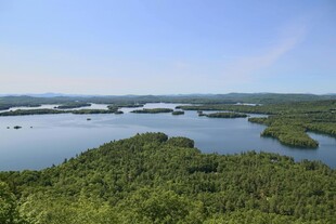 湖畔葱郁森林全景风光