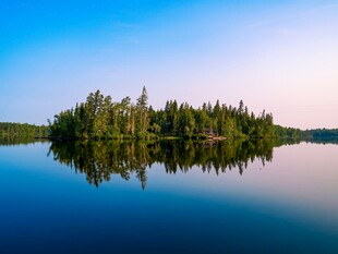 宁静湖畔森林倒影美景