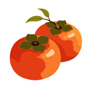 两个鲜美的柿子插画