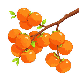 枝头饱满的柿子