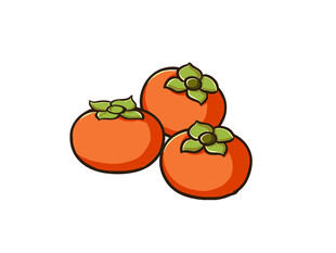 三个柿子插画